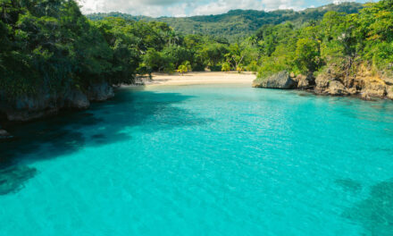 A Helpful Guide for Visiting Jamaica
